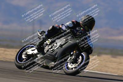 media/Nov-11-2023-SoCal Trackdays (Sat) [[efd63766ff]]/Turn 8 Set 2 (1040am)/